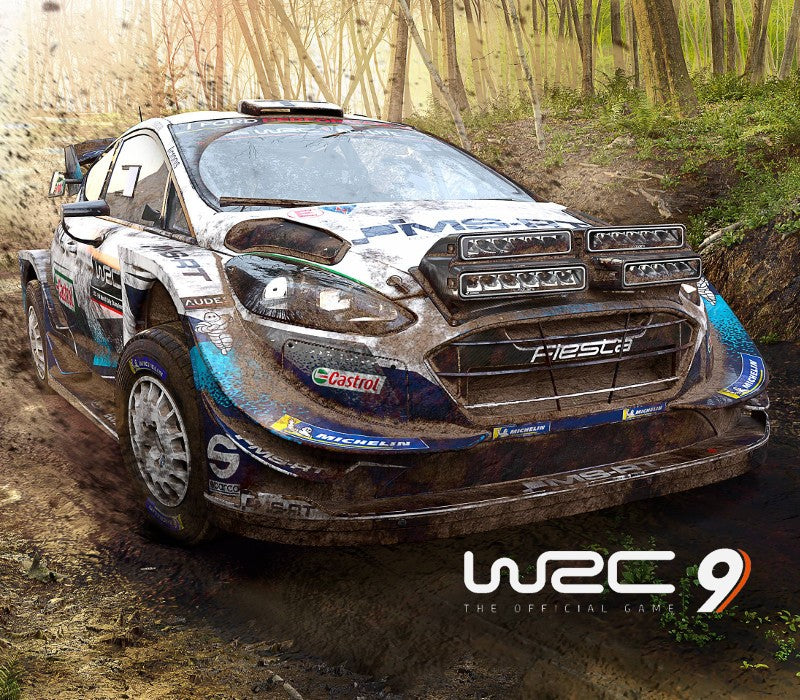 WRC 9 FIA World Rally Championship Epic Games Key