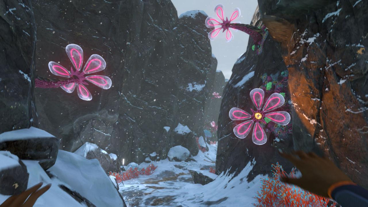 Subnautica: Below Zero EU XBOX One / Xbox Series X|S / PC CD Key