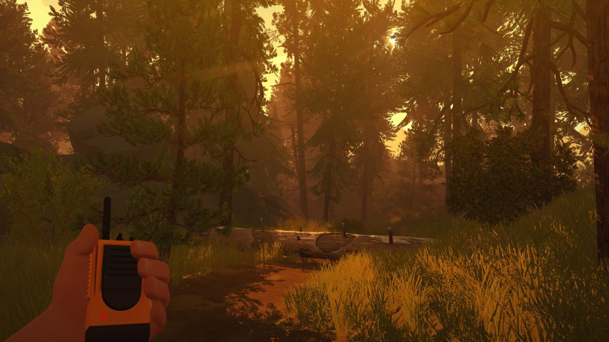 Firewatch GOG CD Key