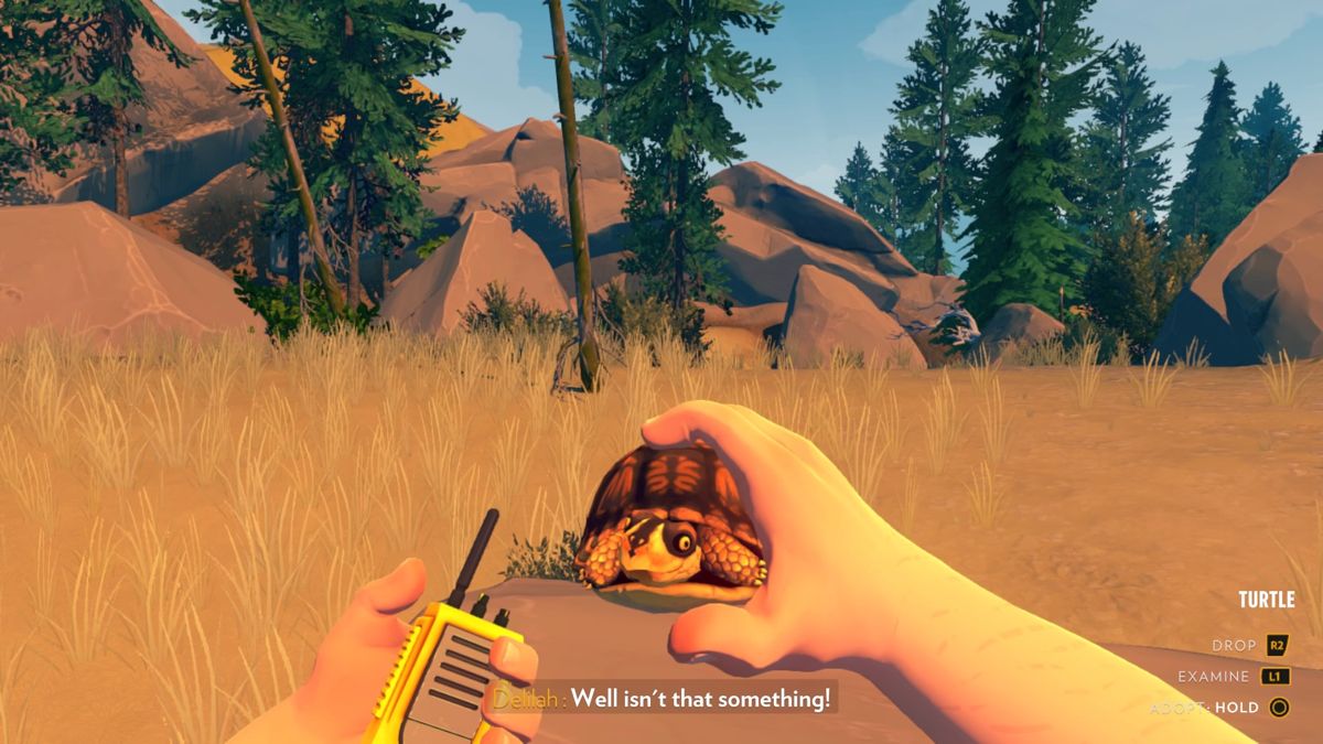 Firewatch GOG CD Key