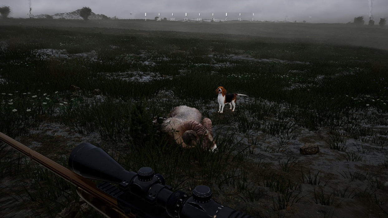 Hunting Simulator 2 Xbox - Main character in the wetlands with a hunting dog