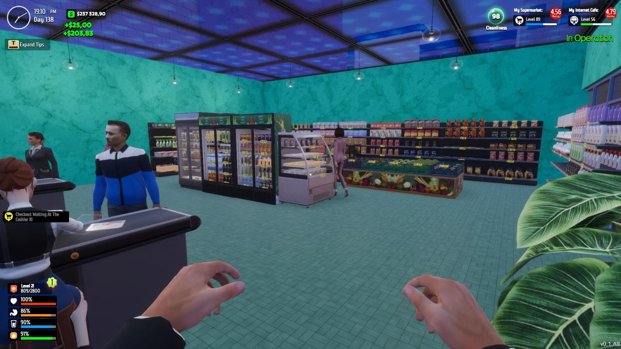 Internet Cafe & Supermarket Simulator PC screenshot - Supermarket interior view