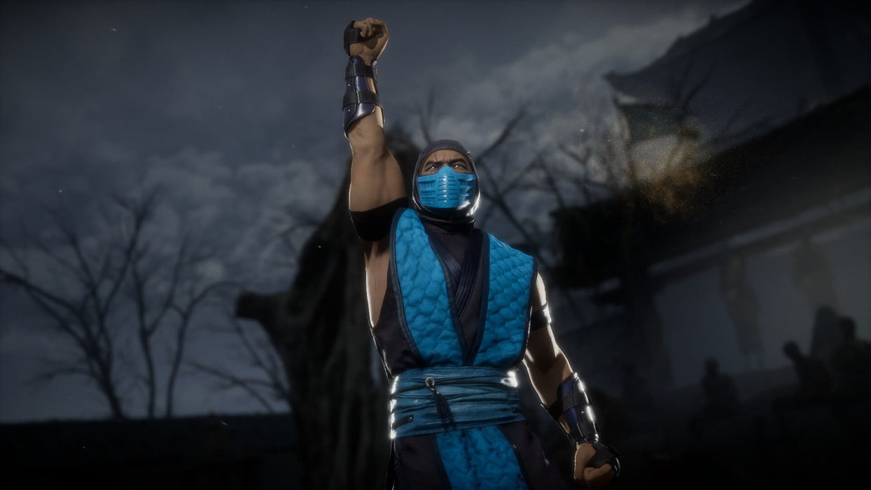 Sub-Zero victory pose in Mortal Kombat 11 Premium – Sub-Zero stands victorious with his fist raised in this iconic Mortal Kombat 11 Premium Edition screenshot, showcasing his frozen armor in the background of a dark, atmospheric stage. Purchase the game on PC Steam at RushGame.co