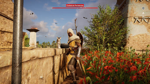 In-game moment from Assassin's Creed: Origins on Xbox One – Bayek is seen interacting with a feline companion amidst vibrant flowers and ancient structures, showcasing the game's attention to detail. Get your Assassin's Creed: Origins Xbox One CD Key from RushGame.co for an unforgettable adventure.