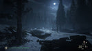 Gameplay screenshot (Call of Duty: WWII - Winter Warfare)

A nighttime battlefield scene with a soldier aiming a BAR rifle in a snow-covered forest, illuminated by moonlight. Join the fight and experience the intense campaign of Call of Duty: WWII—grab your Xbox digital key at RushGame.co