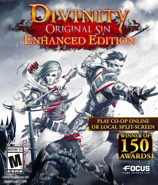 Cover art for Divinity: Original Sin Enhanced Edition, showcasing a battle-ready duo. Get your Steam CD key instantly at RushGame.co