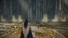 Gameplay screenshot - A lone figure in elegant, battle-worn robes stands before a grand, mystical throne room in Elden Ring: Shadow of the Erdtree Deluxe Edition for Xbox One & Xbox Series X|S. The golden-lit hall reflects the game’s rich lore and immersive world. Secure your Elden Ring DLC key now at RushGame.co!