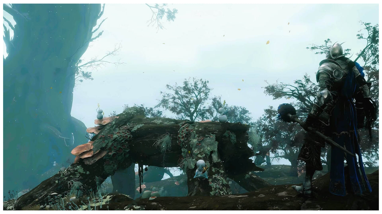 In-game screenshot from Elden Ring showing a knight in heavy armor overlooking a mystical forest with twisted trees and glowing flora. Explore hauntingly beautiful environments with your Elden Ring Xbox key from RushGame.co