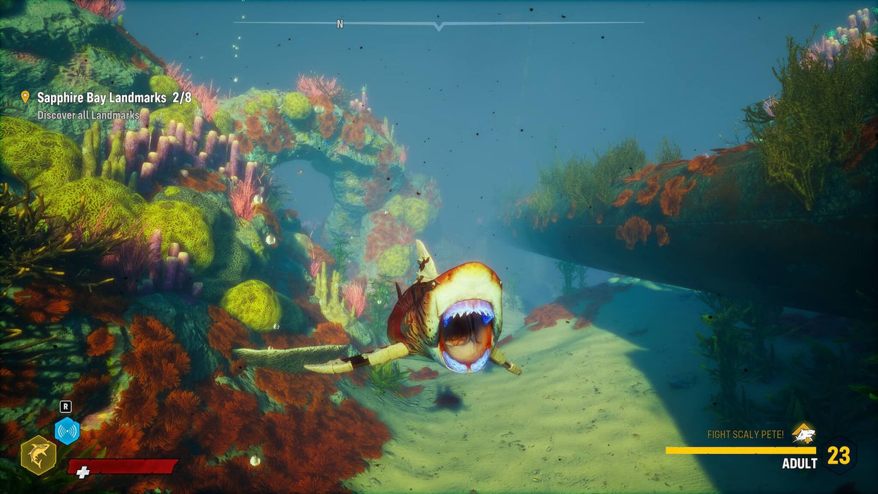 A fierce shark swims through vibrant coral reefs and colorful sea life in Sapphire Bay in Maneater on Xbox one. Dive into this underwater world and get your Xbox game key at RushGame.co