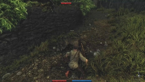 Gameplay screenshot from Risen on PC Steam, showing the hero fighting a hungry wolf on a forest path. Purchase your Risen Steam CD key at RushGame.co and experience classic RPG action