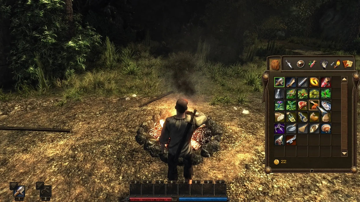 In-game image from Risen for PC Steam, featuring the main character standing at a campfire with the inventory screen open. Unlock your adventure instantly with a Risen Steam key from RushGame.co