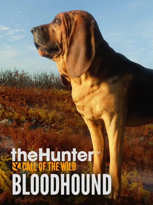 theHunter Call of the Wild Bloodhound Steam Key